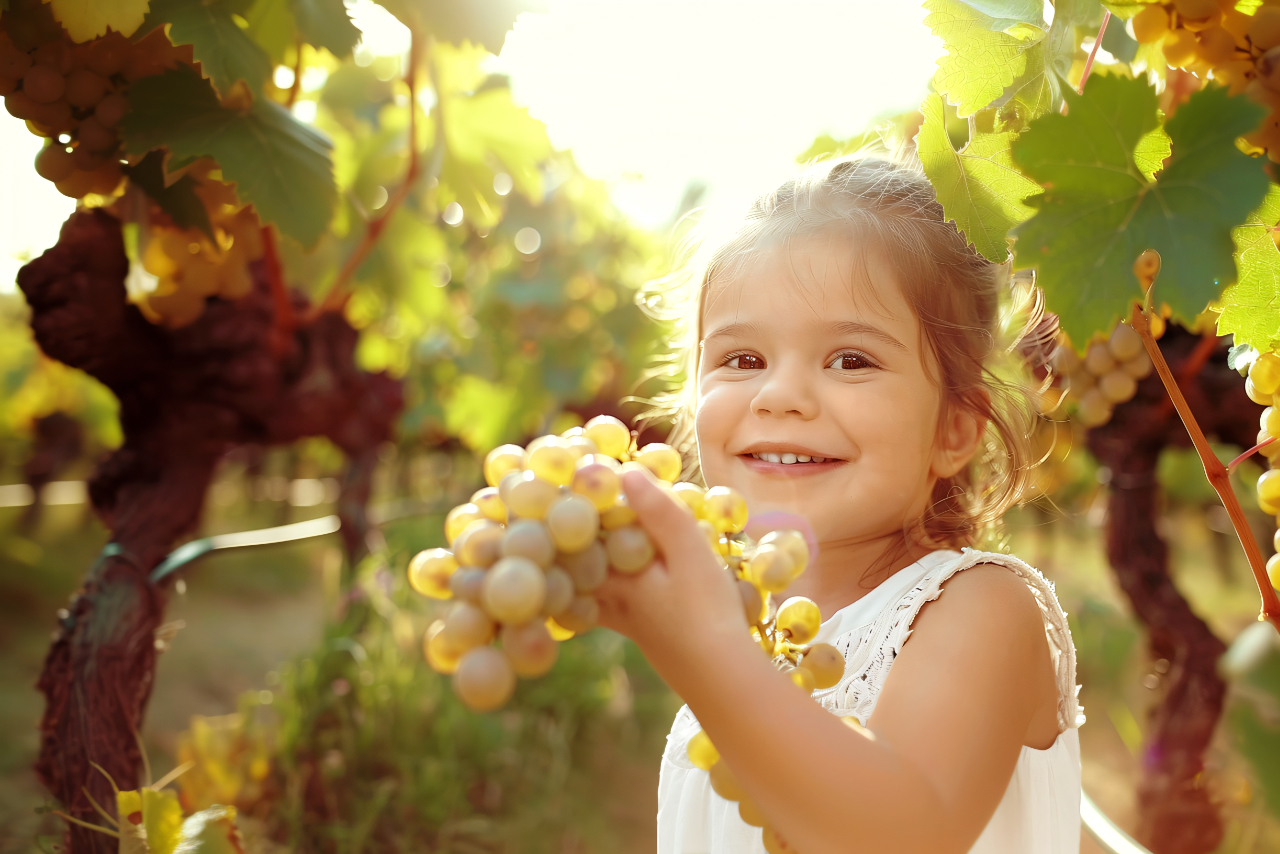 Festa del Vino Bardolino: dal 02 al 06 ottobre 2025